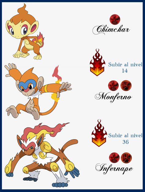 chimchar evolution